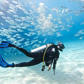 Scuba Diving